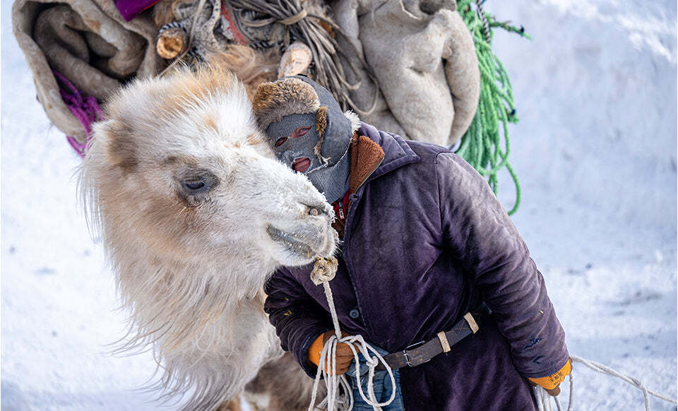 Immagini blog mongolia 5